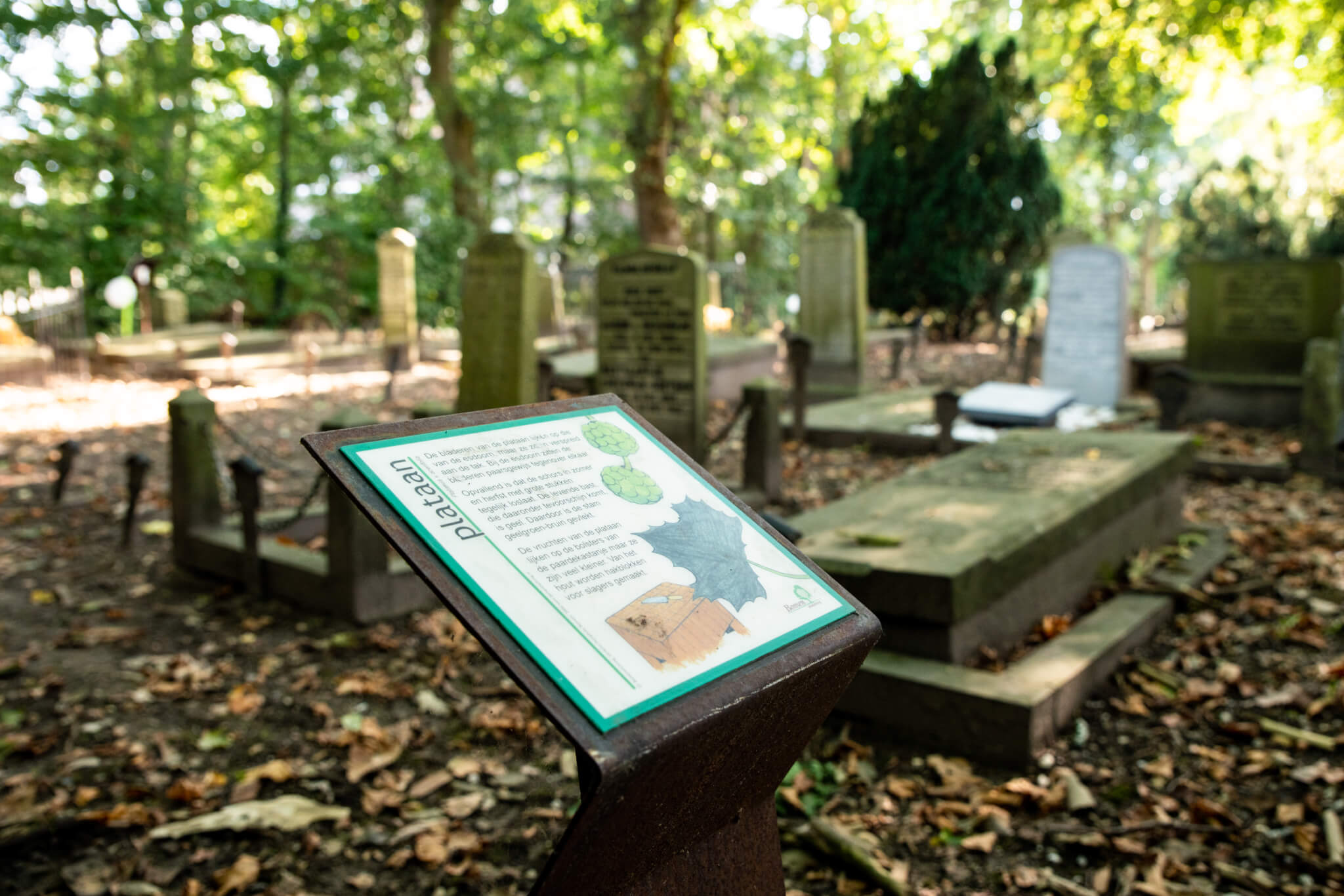 Aalsmeer Cemetery