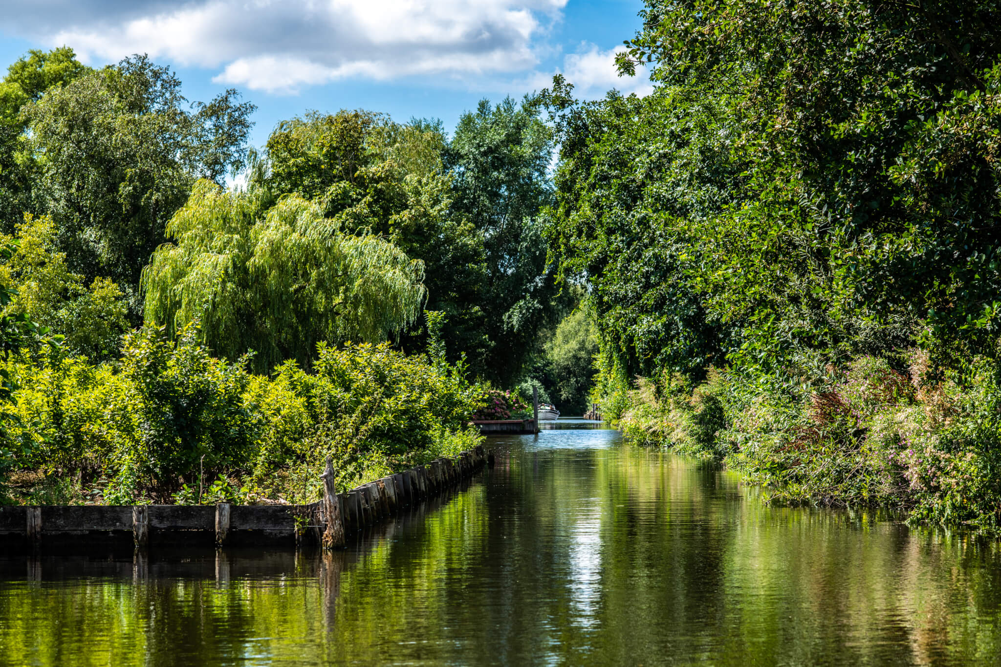 Aalsmeer Canal Cruise with Westeinder Rondvaart