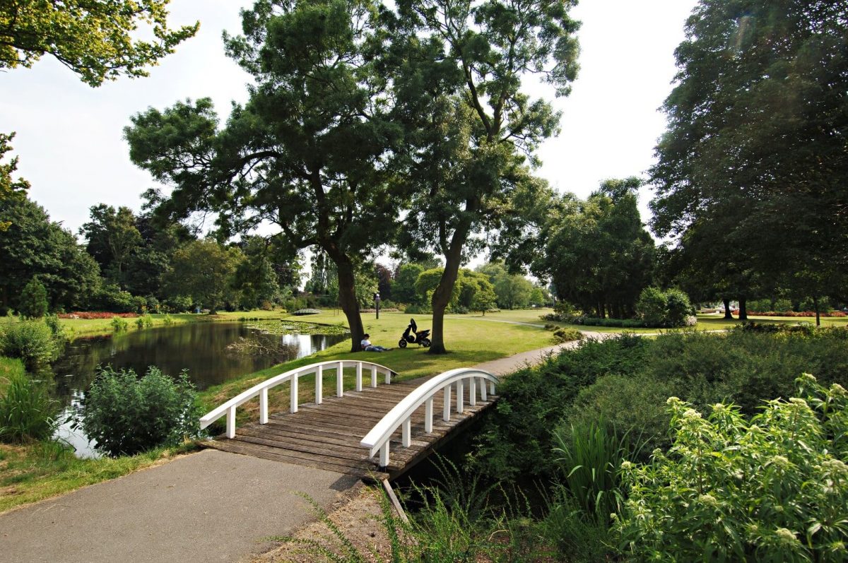 Lilac Park Aalsmeer - Seringenpark