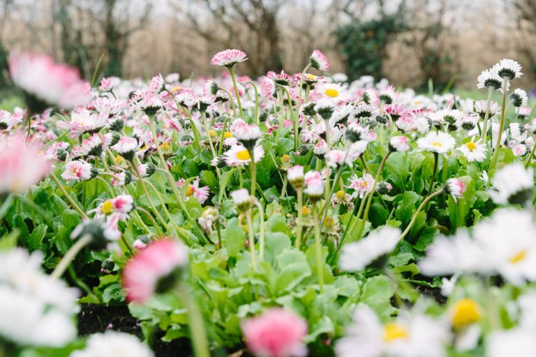 Bloemenbelevenis arrangement Aalsmeer