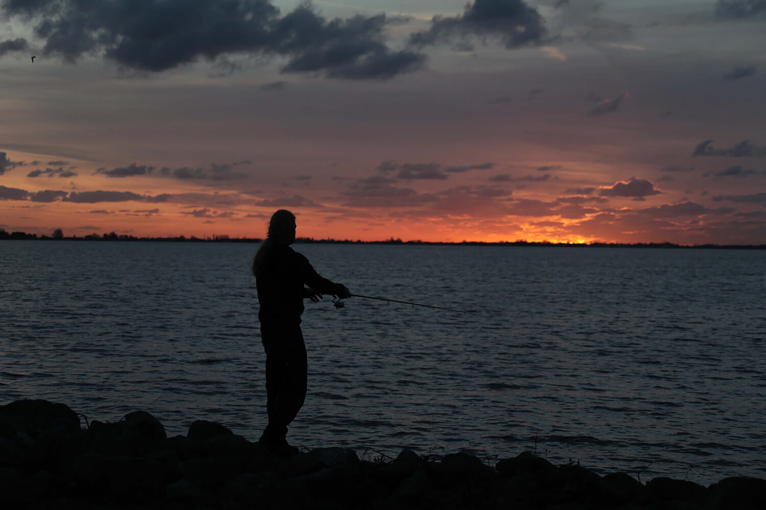 Fishing sunset Aalsmeer