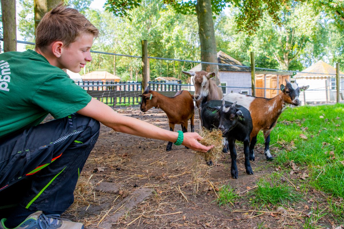 Kinderboerderij Boerenvreugd