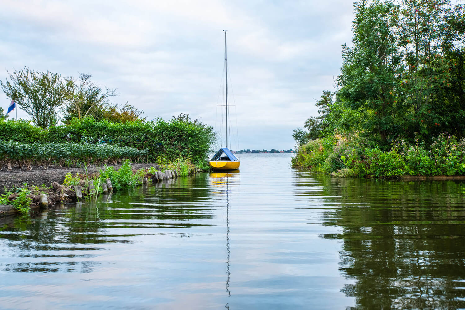 Vaar door uniek Hollands natuurgebied met Aalsmeer Rondvaart