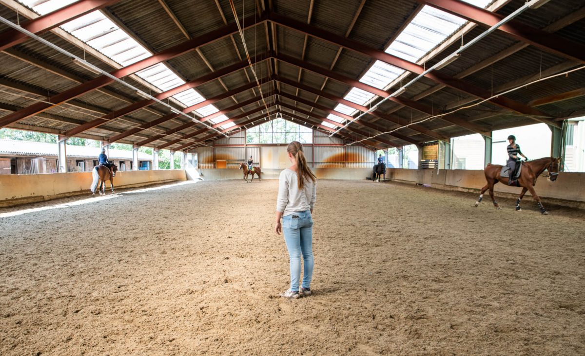 Horseback riding Aalsmeer