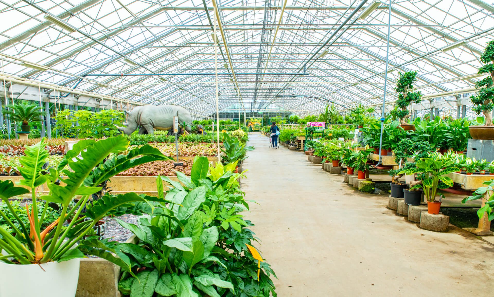 Garden Centre het Oosten in Aalsmeer