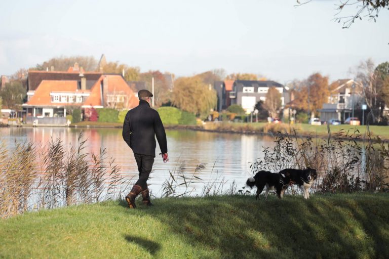 Wandelen in Aalsmeer