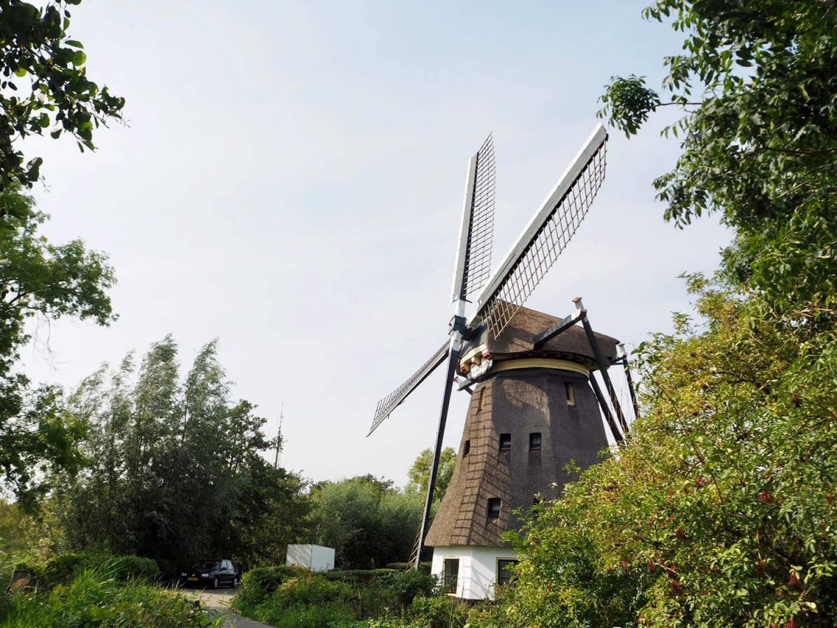 Wandelen in Aalsmeer: molen de Zwarte Ruiter