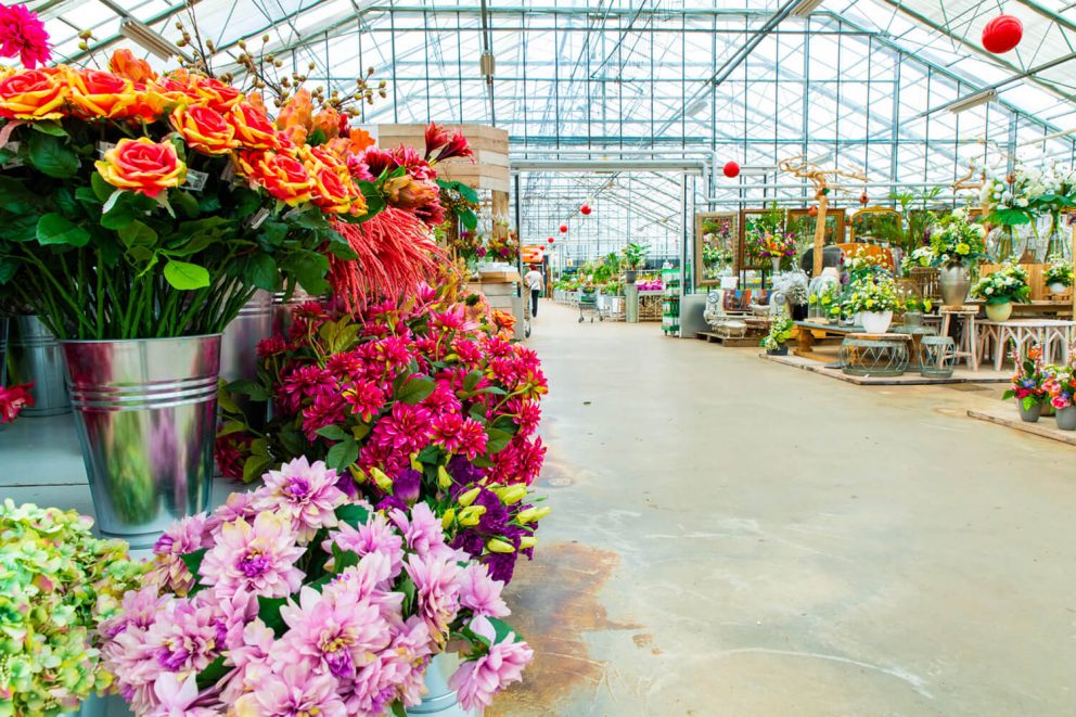 Bloemen in Aalsmeer en Winkels Aalsmeer - Tuincentrum het Oosten