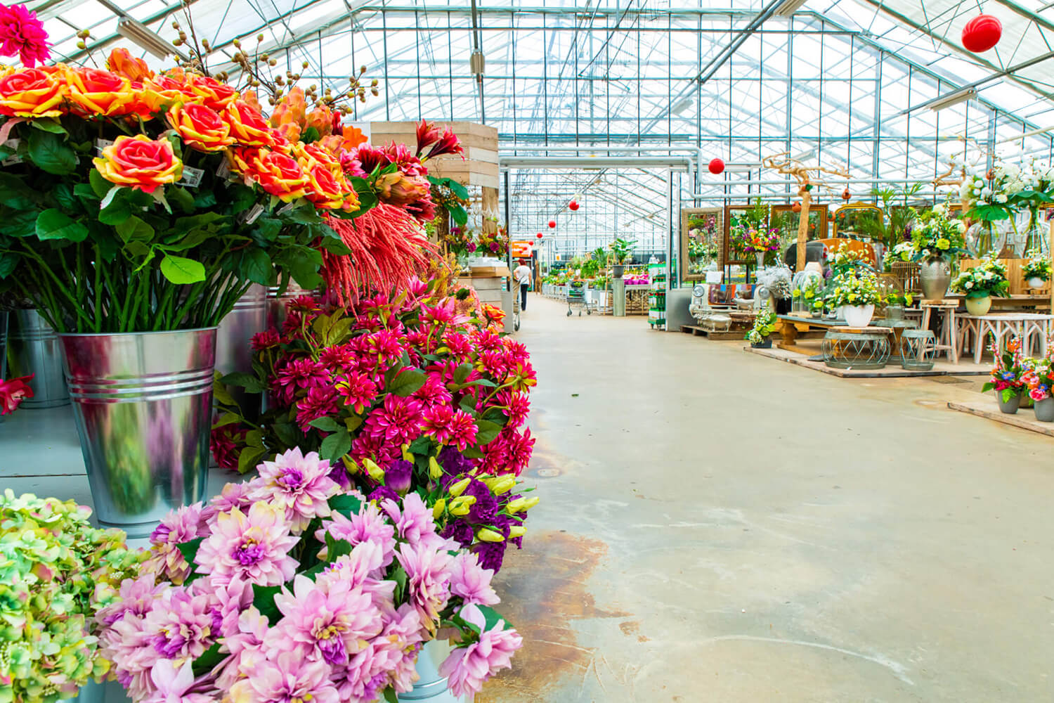 Flowers in Aalsmeer en Shops Aalsmeer - Garden Centre het Oosten