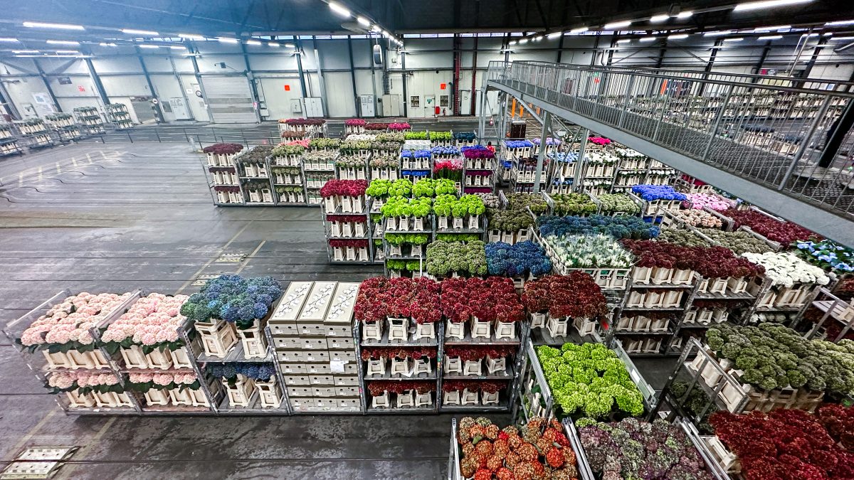 Royal FloraHolland bloemenveiling Aalsmeer