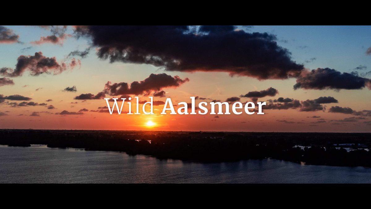 Wild- VisitAalsmeer