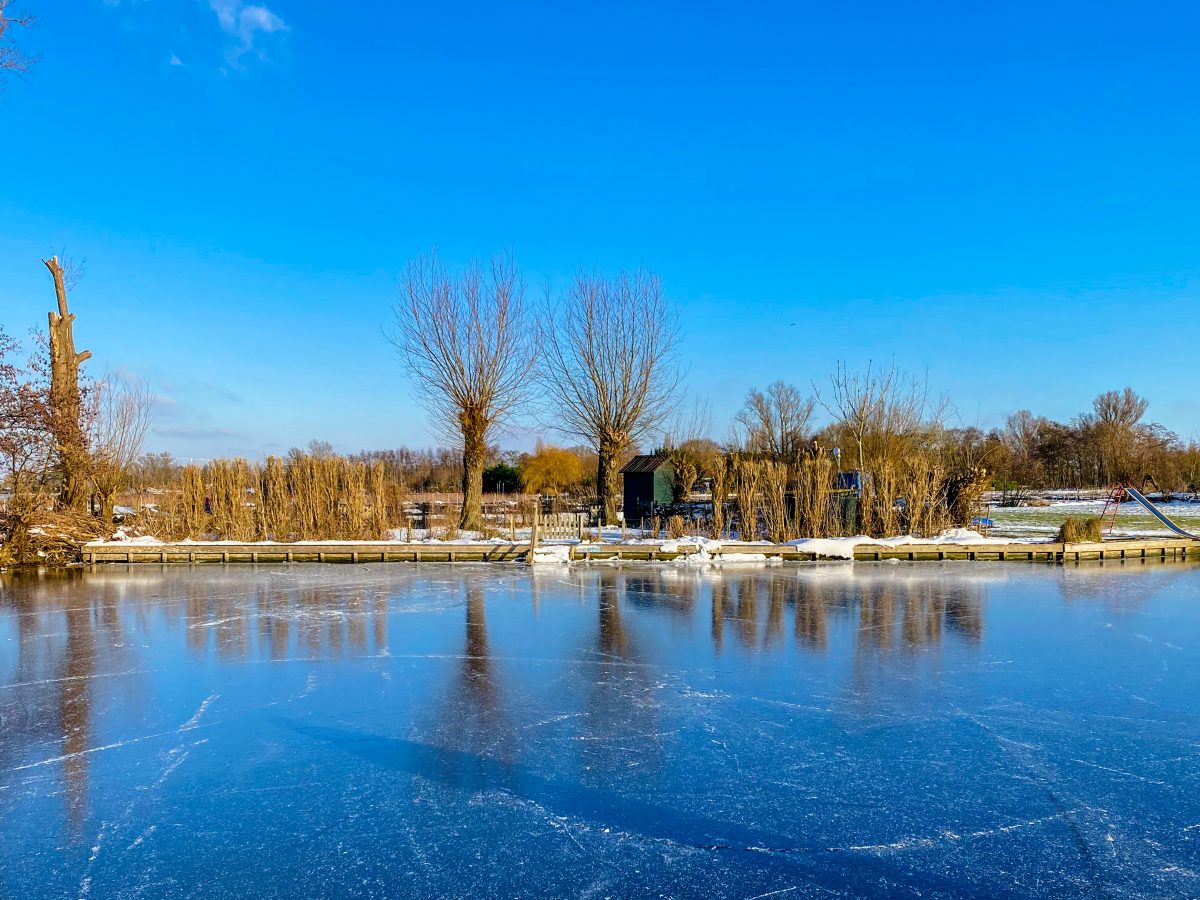 Winterwandelen in Aalsmeer