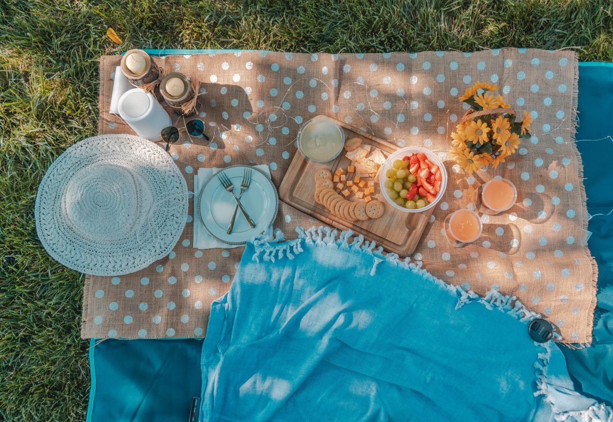 Picknicken in de natuur in Aalsmeer