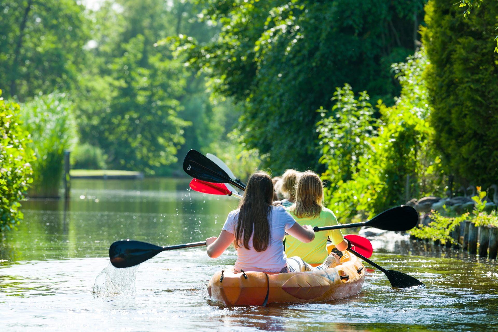 Kanoën op de Westeinderplassen