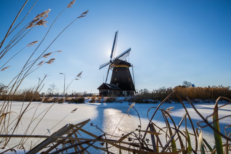 Winterwandelen in Aalsmeer