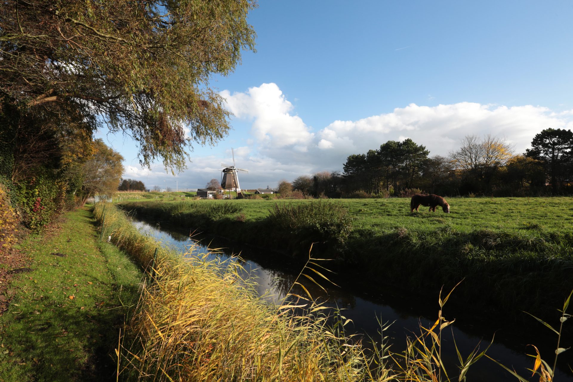 Landschap in Aalsmeer met uitzicht op molen