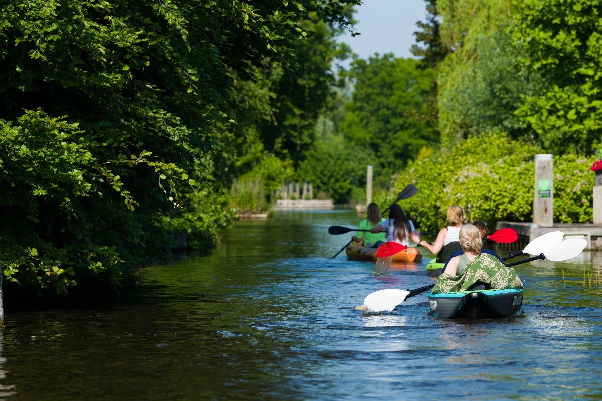 Kanoën op de Westeinderplassen