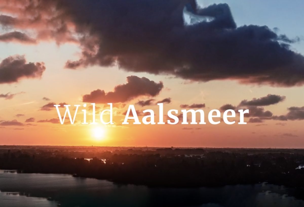 Wild Aalsmeer