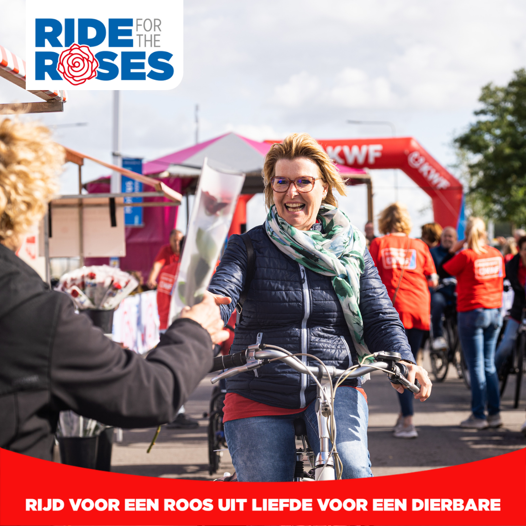 Ride for The Roses Aalsmeer